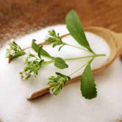 stevia